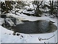 Small Waterfall and Pool