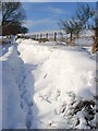 Snowbank near Gilmerton