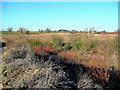 View towards Brampton Abbotts