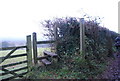 Stile on Thorncombe Lane