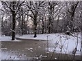 Snow on the pond at Cockshoot Wood