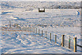 View across Trona Dale, south of Watlee, in the snow