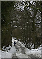 Footpath between Promised Land Farm and Shaley Brow