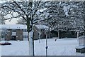 Snowy Southcote