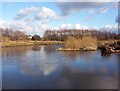 Island on the Clyde