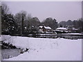 Shottermill ponds