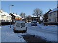 Lamppost in a snowy Ellisfield Road