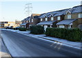 Houses on  Willenhall Street, Newport