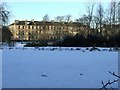 Frozen pond in Queens Park