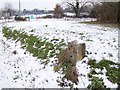 Milestone, Sherfield English