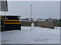 Tiverton : Snowman