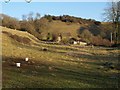 Upper Chalkley Cottages