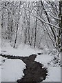 Woodland near Merrydale brook, Slaithwaite