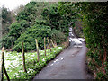 View along the road to Parsonage Farm, Marshborough