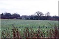 Arable fields by the A4074