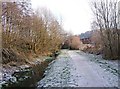 Path from Springfield Park to Chester Road