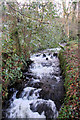 River Lariggan above Castle Horneck