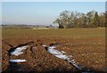 Field near Woodbury Salterton