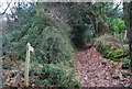 Footpath off Luccombe Lane