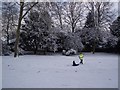 Snow Fun in Gillingham Park