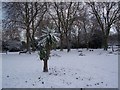Snow covered flower borders in Gillingham Park
