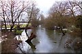 The River Thame at Chiselhampton