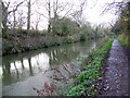 Kennet and Avon Canal, Bradford-on-Avon