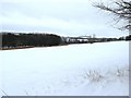 View north across field from near Dale Park House