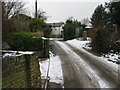 View along lane to Marshborough Farm