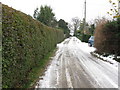 View along lane towards Marshborough Farm