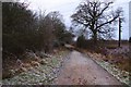 Footpath at Greater Leys