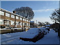 Heavy snow in West Leigh (3)