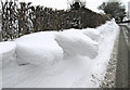 Tongues  of snow.