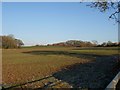 SY0288 : Field near Woodbury Salterton (2) by Derek Harper