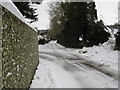 Road mirror on sharp bend in Madehurst