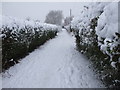 Footpath to Llanishen Reservoir, Cardiff