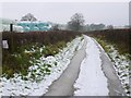 Bound Lane near Chetnole