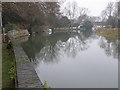 TL2970 : The Ouse, upstream at Hemingford Grey by Michael Trolove