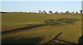 Hillside above South Hill Farm