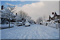 Chestnut Avenue - snowscene