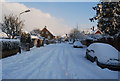 Snow, Chestnut Avenue