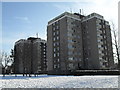 Tower blocks in Lockersley Road