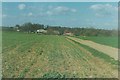 Olives Farm near Hunsdonbury in 1997