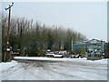 Badger Nurseries Plant Centre