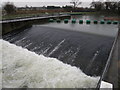 Weir at Willington