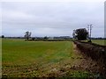 Countryside near Yeovil marsh