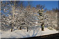 Snow Scene, London Rd