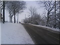 Woodhead Road, Glossop