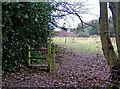 Public footpath in Eymore Wood