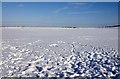 Snow blanketed farmland at Blewbury